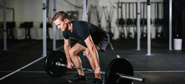 Langhanteltraining - Effektivität und Erfolg durch den Klassiker - trainingsland.de