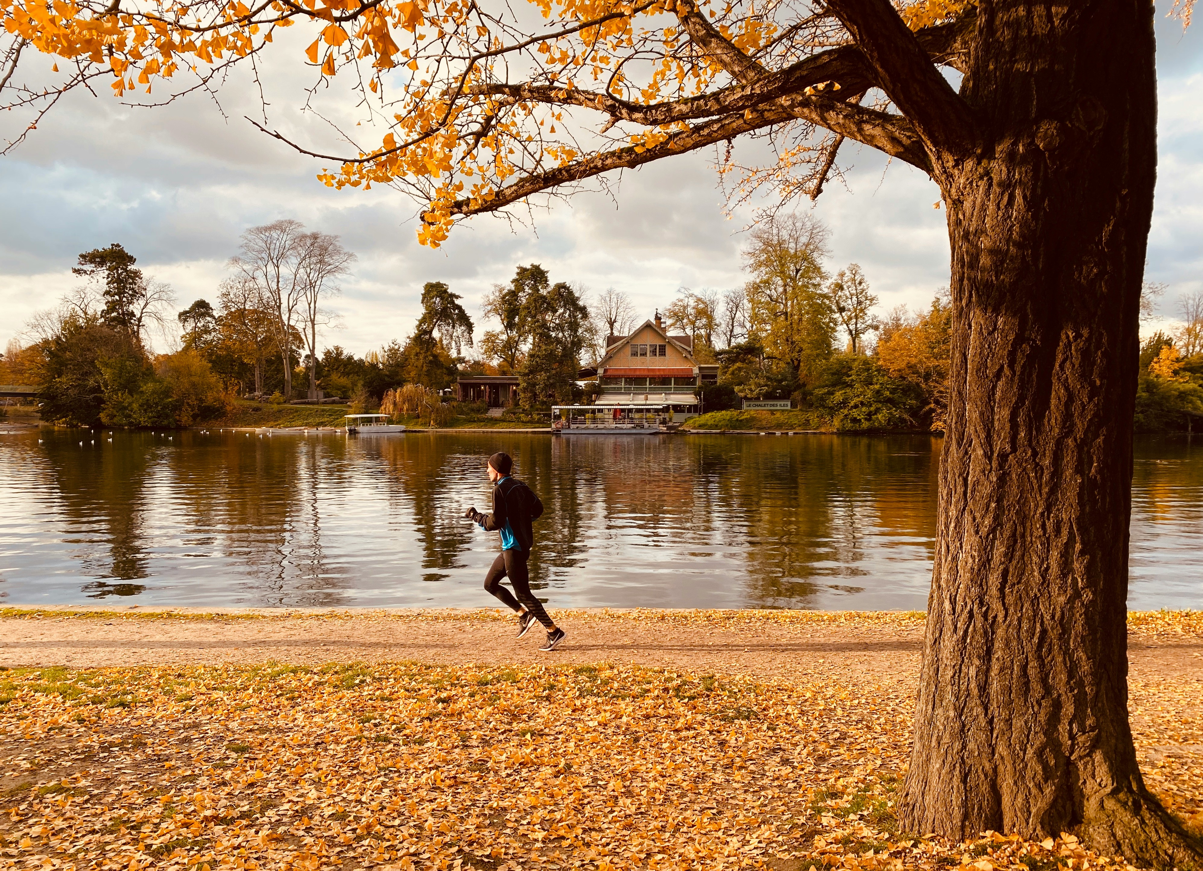 Training im Herbst: Fit durch die goldene Jahreszeit - trainingsland.de