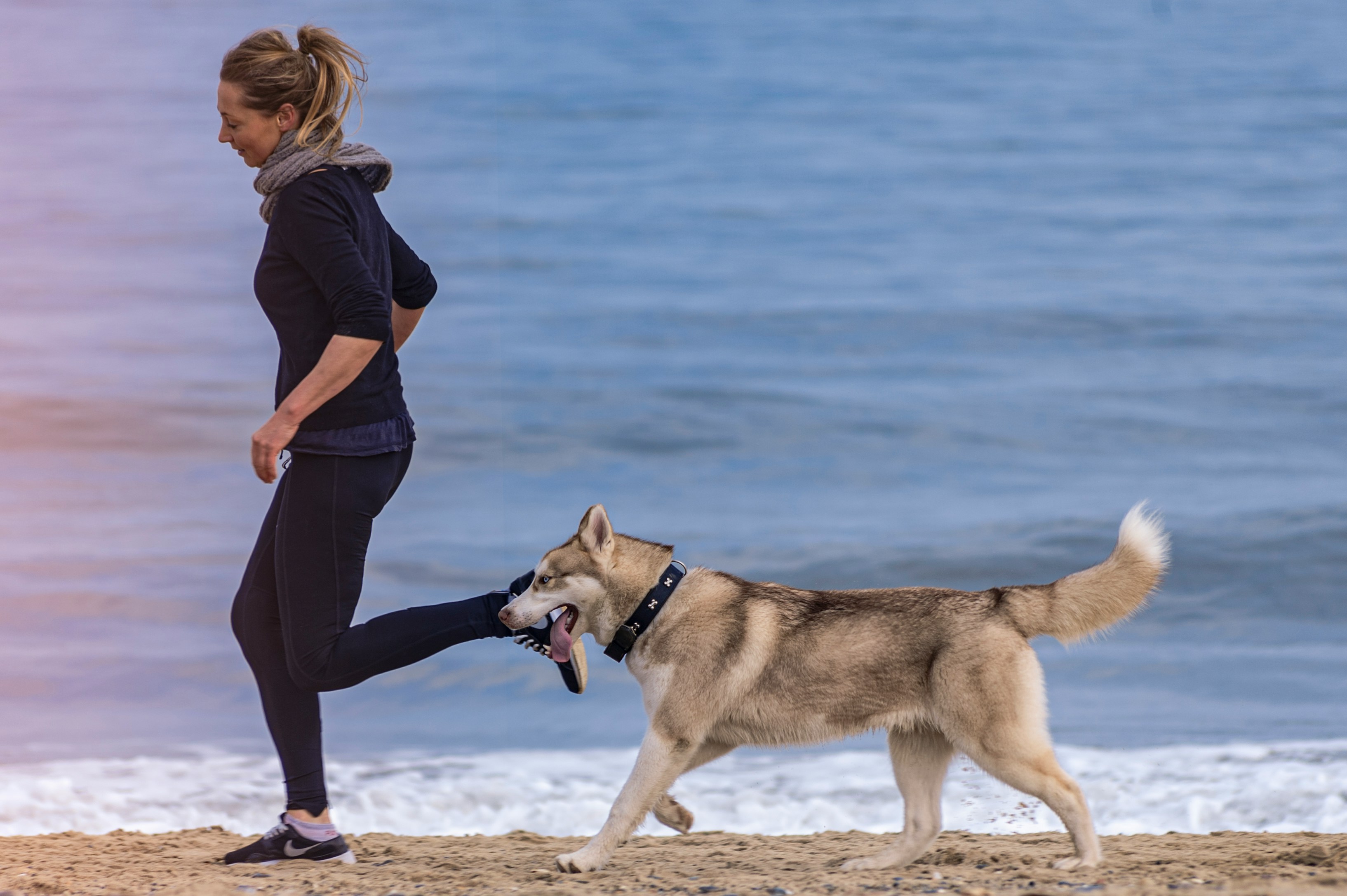 Joggen mit Hund – Die perfekte Kombination für Sportler - trainingsland.de