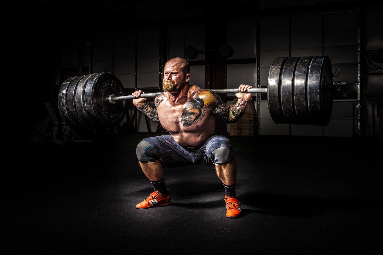 Stärke oder Ästhetik? Ein umfassender Vergleich von Bodybuilding und Powerlifting - trainingsland.de