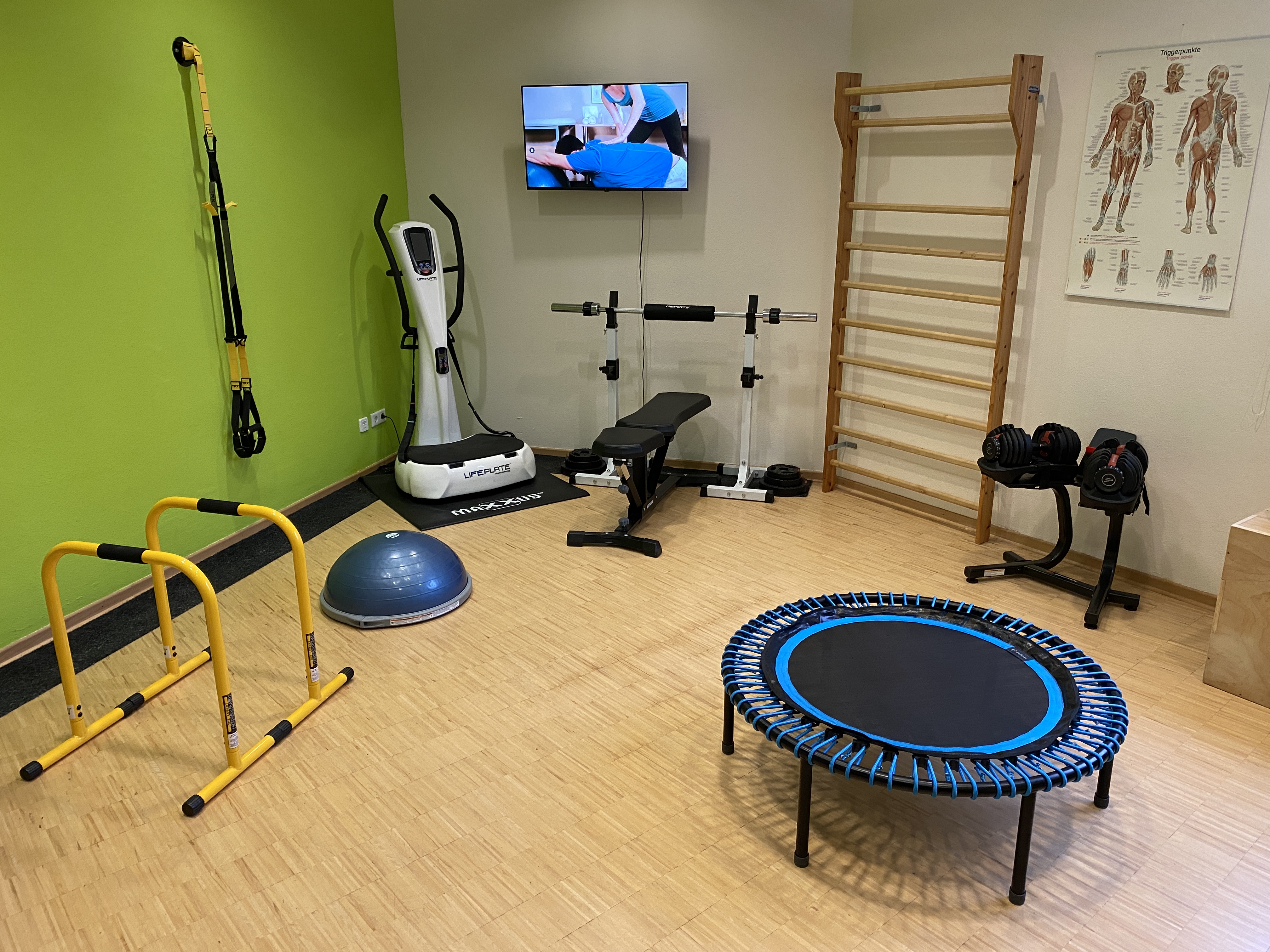 Personaltrainer: Praxis für Sporttherapie, Ernährungsberatung und medizinische Fitness - Dirk Plogsties