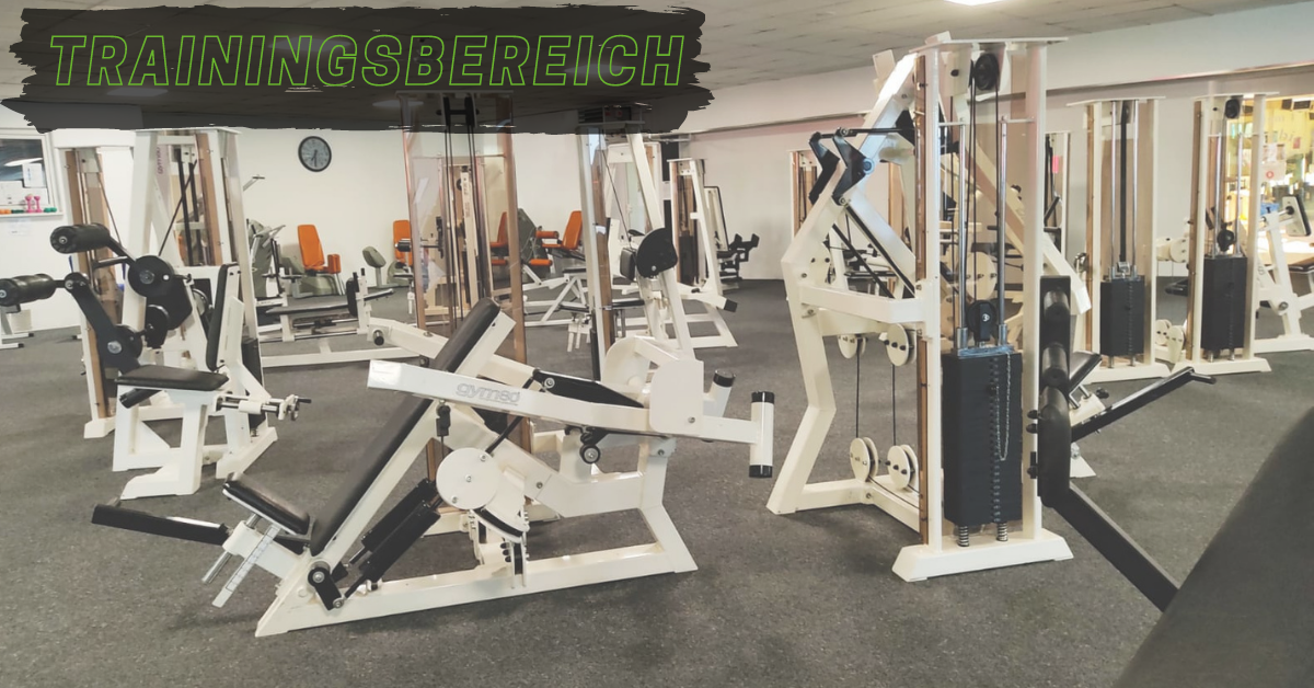 FitnessStudio Suche - Gruppenfitness - Rheinhessen - ACTIVITY FITNESS