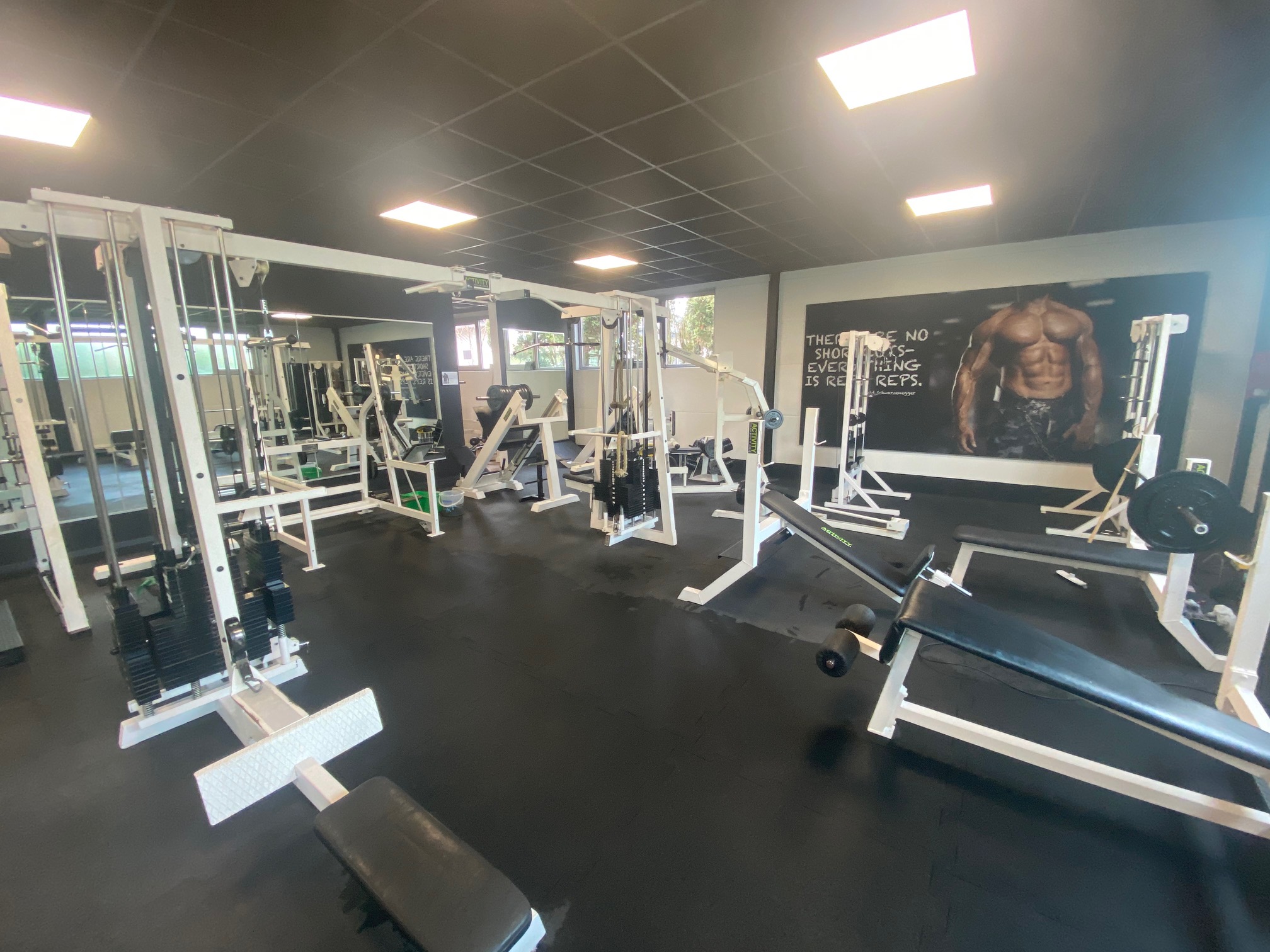 FitnessStudio Suche - Gruppenfitness - Rheinhessen - Freihantelbereich - ACTIVITY FITNESS