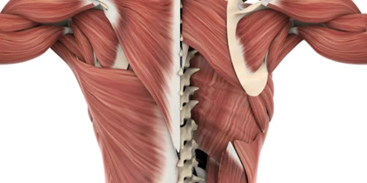 FitnessStudio Suche - Krafttraining - Jan Ziegler