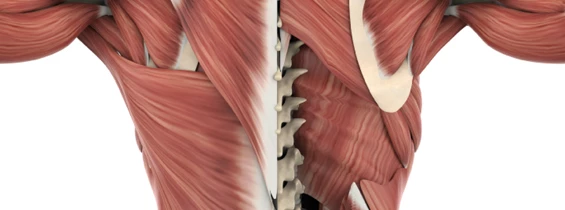 Personaltrainer: Jan Ziegler