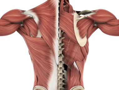 Personaltrainer: Jan Ziegler