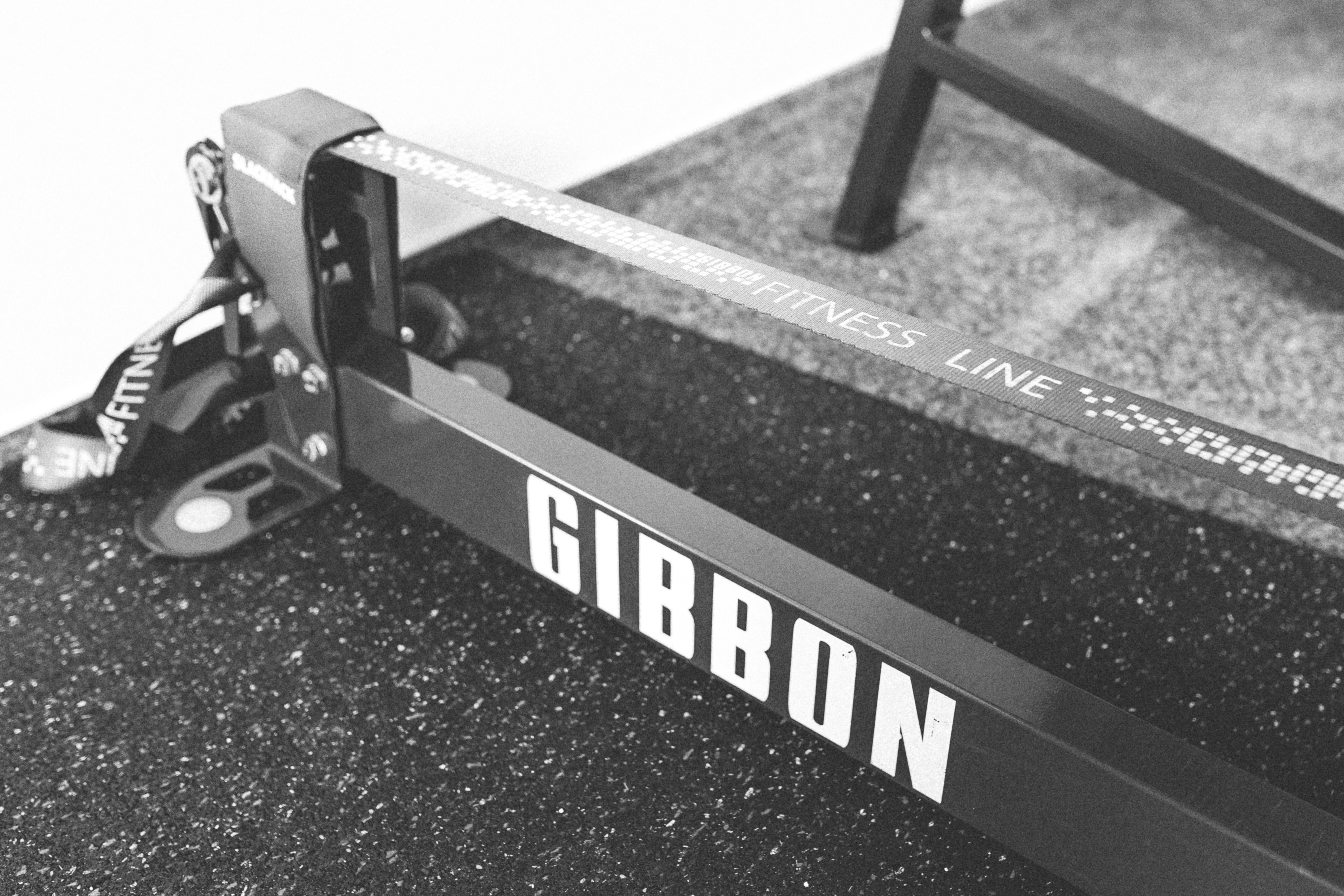 FitnessStudio: Die Gesundmacher